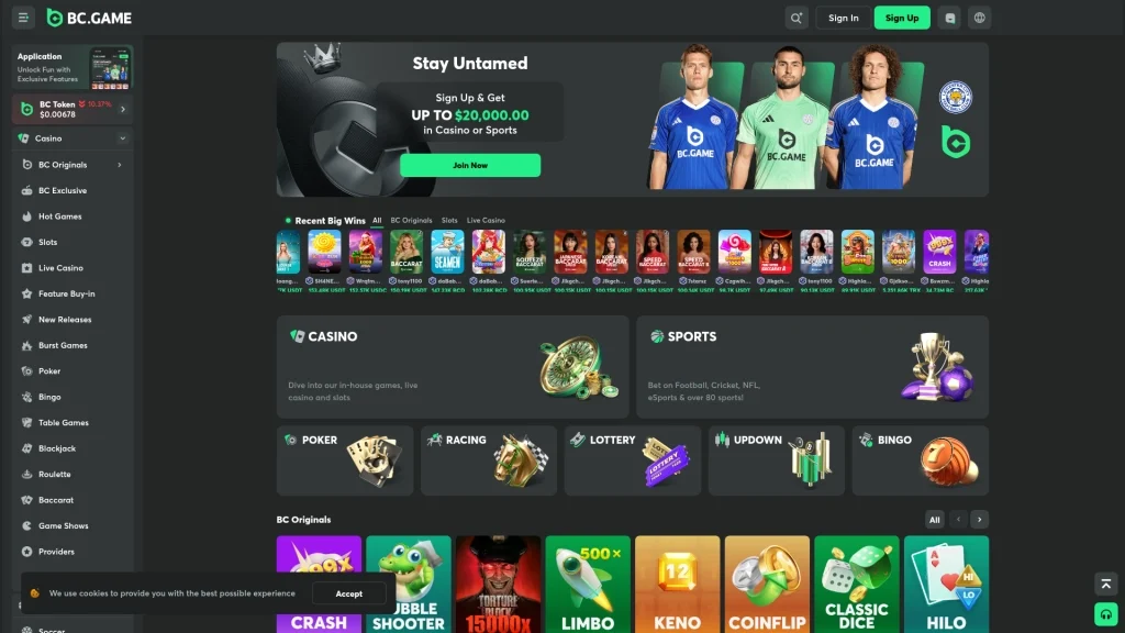 BC.GAME Review Screenshot