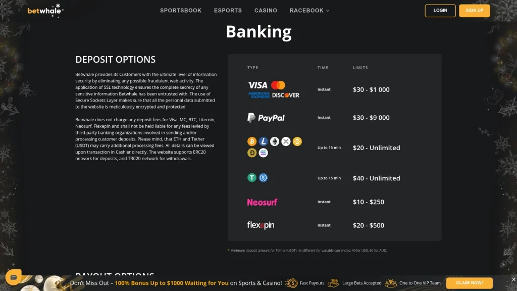 Betwhale Banking Options